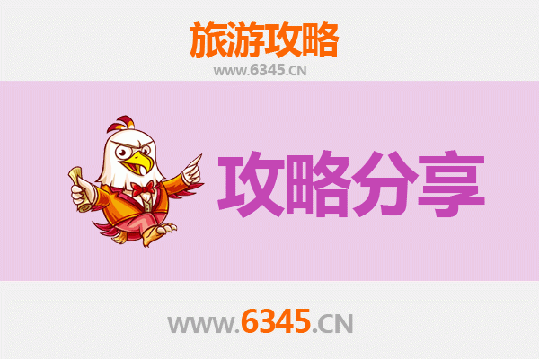 天津东丽旅游攻略：跟团与自由行全方位对比